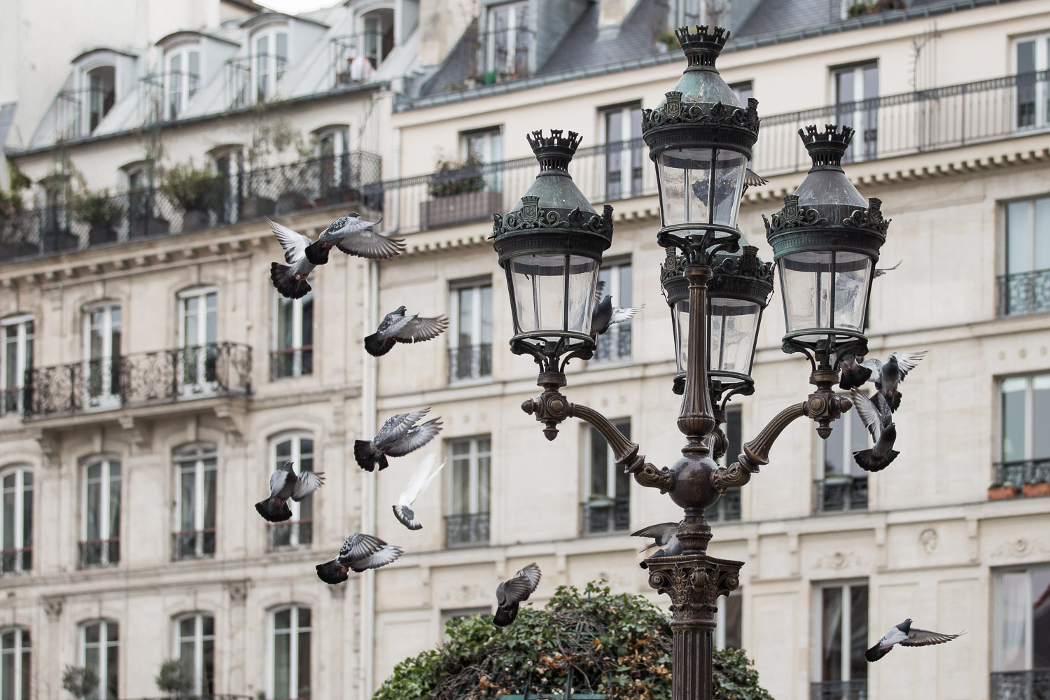 Paris, travelphotograph